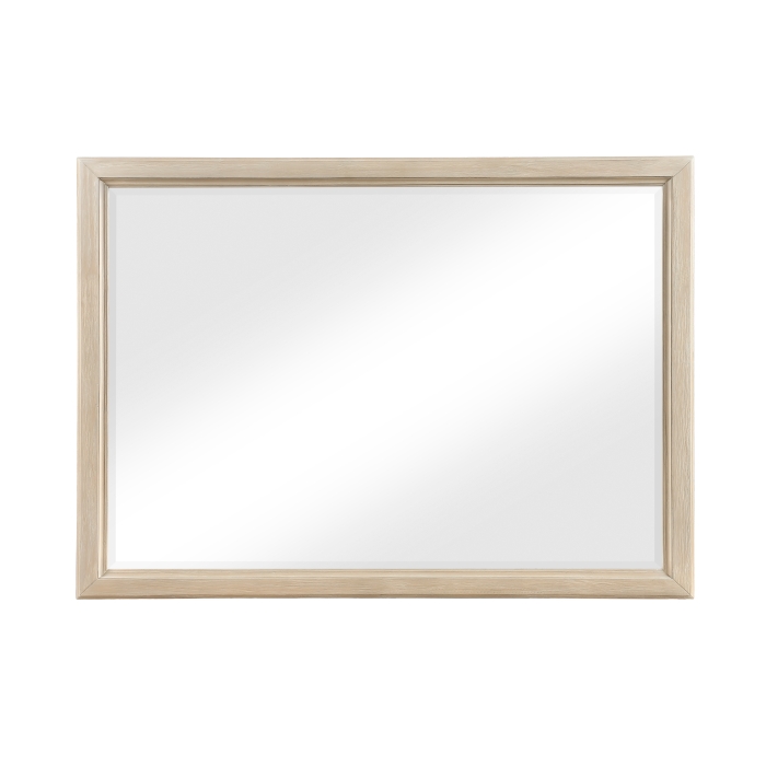 1730NB-6 Mirror