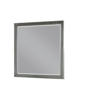 Kenzo Mirror Gray